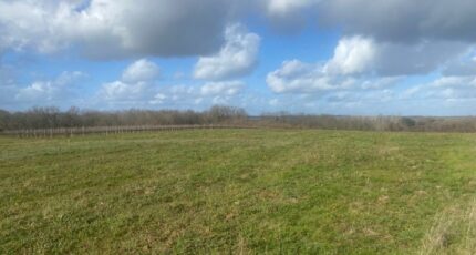 Monségur Maison neuve - 2424509-1086annonce120260210wdJMP.jpeg Maisons France Confort