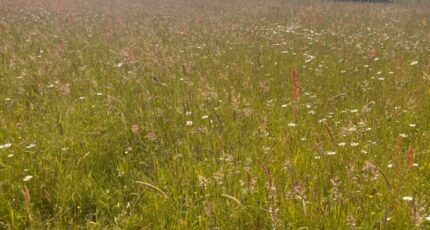 Beautiran Maison neuve - 2433467-3601annonce120260218HQ0zi.jpeg Maisons France Confort