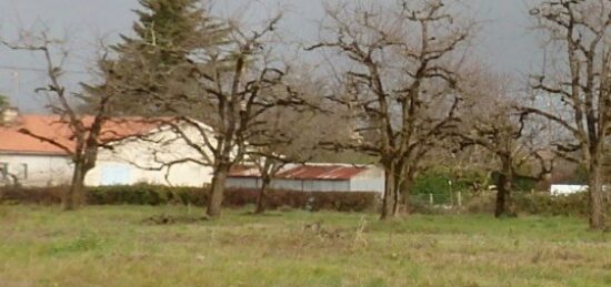 Terrain à bâtir à Lévignac-de-Guyenne, Nouvelle-Aquitaine