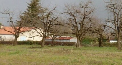 Saint-Pierre-sur-Dropt Maison neuve - 2433579-10776annonce120260218qxiPQ.jpeg Maisons France Confort