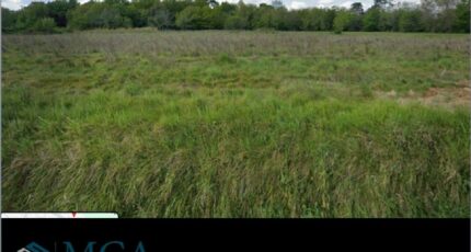 Madirac Terrain à bâtir - 2433699-3601annonce120260218v2PmR.jpeg Maisons France Confort