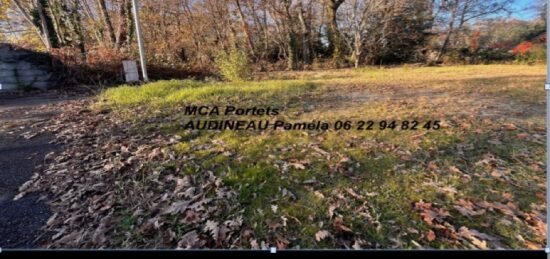 Terrain à bâtir à Landiras, Nouvelle-Aquitaine