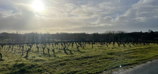 Terrain à bâtir à Blaye, Nouvelle-Aquitaine