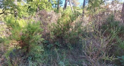 Gréasque Maison neuve - 2433848-11041annonce520260218a3Po5.jpeg Maisons France Confort