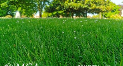 Arès Terrain à bâtir - 2433934-3957annonce120260219uANCy.jpeg Maisons France Confort