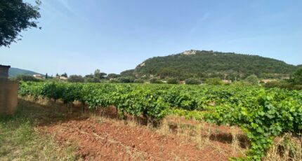 Gonfaron Terrain à bâtir - 2433949-10122annonce120260219s7NkT.jpeg Maisons France Confort