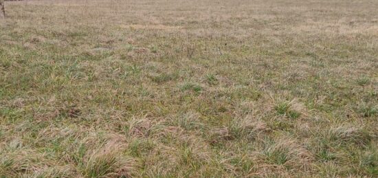 Terrain à bâtir à Verteillac, Nouvelle-Aquitaine