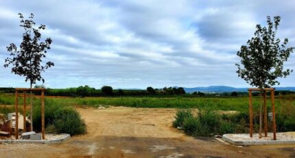 Montagnac Terrain à bâtir - 2399737-3243annonce120241002KcpCk.jpeg Maisons France Confort