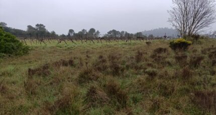 Valflaunès Maison neuve - 2398123-3243annonce2202508275N6GS.jpeg Maisons France Confort