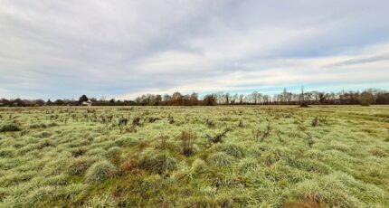 La Force Terrain à bâtir - 2434280-11709annonce320260219HsstC.jpeg Maisons France Confort