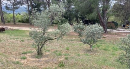 Cadenet Terrain à bâtir - 2435048-7060annonce320230609WhhVB.jpeg Maisons France Confort