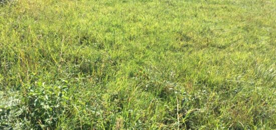 Terrain à bâtir à Péronnas, Auvergne-Rhône-Alpes