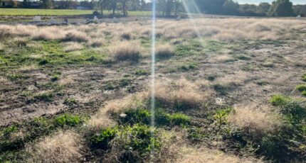 Attignat Maison neuve - 2397543-754annonce1202601194AEkK.jpeg Maisons France Confort