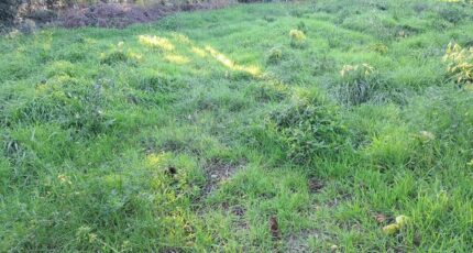 Éguilles Maison neuve - 2435397-11041annonce3202602201FbhH.jpeg Maisons France Confort