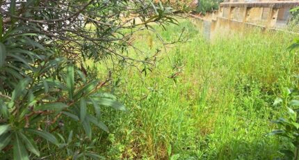 Velaux Maison neuve - 2388644-11041annonce320260111Cvq2I.jpeg Maisons France Confort