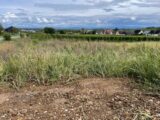 Terrain à bâtir à Beblenheim (68980) 2369201-11028annonce220250721k7pko.jpeg Maisons France Confort