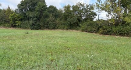 Saint-Sulpice Maison neuve - 2435419-11356annonce220260220mSZi0.jpeg Maisons France Confort