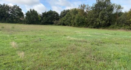 Saint-Sulpice Terrain à bâtir - 2435381-11356annonce320260220kw1AB.jpeg Maisons France Confort