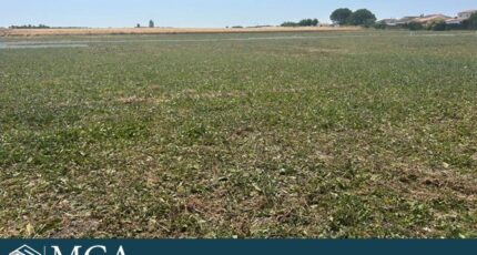 Mornac-sur-Seudre Maison neuve - 2435948-11784annonce120260220TDOcx.jpeg Maisons France Confort