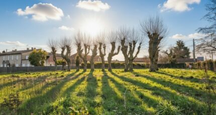 Arbanats Terrain à bâtir - 2434464-11783annonce1202602211lWK6.jpeg Maisons France Confort