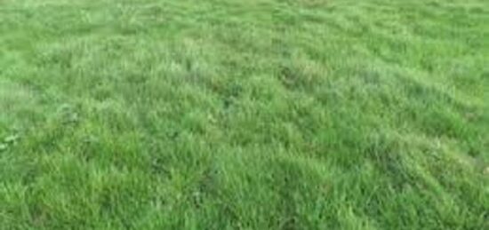 Terrain à bâtir à Château-Landon, Île-de-France