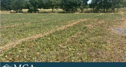 Mornac-sur-Seudre Terrain à bâtir - 2436469-11784annonce120260220hwTL2.jpeg Maisons France Confort