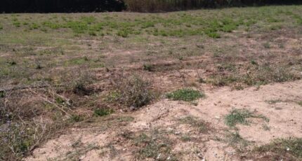 Aubagne Terrain à bâtir - 2382067-7080annonce22026010520mWD.jpeg Maisons France Confort