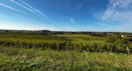 Artigues-près-Bordeaux Terrain à bâtir - 2399043-11383annonce1202602227y9QW.jpeg Maisons France Confort