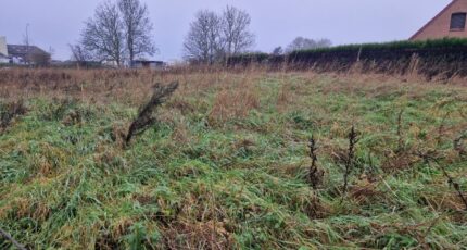 Santes Maison neuve - 2392753-1807annonce1202601142EUo4.jpeg Maisons France Confort