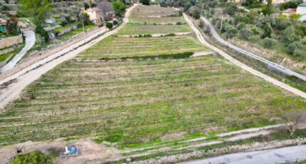 Cotignac Maison neuve - 2437117-7057annonce120260223W96eT.jpeg Maisons France Confort