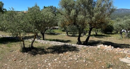 Correns Maison neuve - 2437128-7057annonce320260223eEfJL.jpeg Maisons France Confort