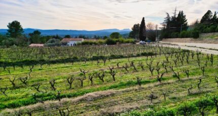 Cotignac Maison neuve - 2437118-7057annonce520260223Kf2Dd.jpeg Maisons France Confort