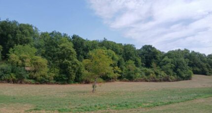 Saint-Martin-de-Ribérac Terrain à bâtir - 2437294-9455annonce220260223U70aD.jpeg Maisons France Confort