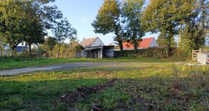 Le Molay-Littry Maison neuve - 2437398-11660annonce320251031xu1IH.jpeg Maisons France Confort