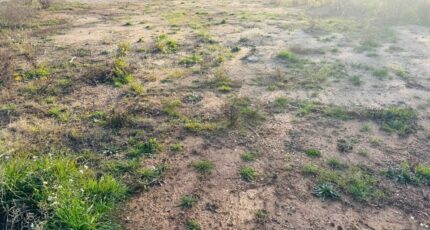 Pourrières Terrain à bâtir - 2437466-11677annonce2202602232E2ZK.jpeg Maisons France Confort