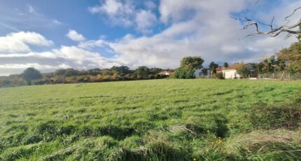 Saint-Palais-sur-Mer Maison neuve - 2437917-3362annonce120260223ySRHT.jpeg Maisons France Confort