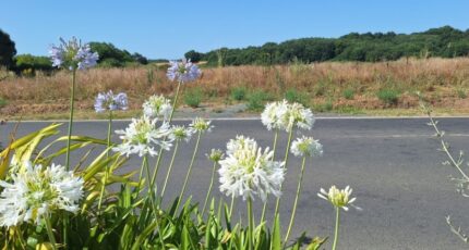 Meursac Terrain à bâtir - 2438217-3362annonce120260223qMzAP.jpeg Maisons France Confort