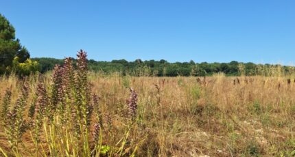 Meursac Terrain à bâtir - 2438113-3362annonce220260223vZvmK.jpeg Maisons France Confort