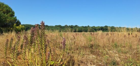 Terrain à bâtir à Meursac, Nouvelle-Aquitaine