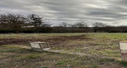 Lasserre-de-Prouille Terrain à bâtir - 2437978-10986annonce120260223SyRZf.jpeg Maisons France Confort