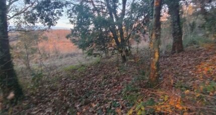 Barjac Terrain à bâtir - 2437409-5100annonce220260223ulPOq.jpeg Maisons France Confort