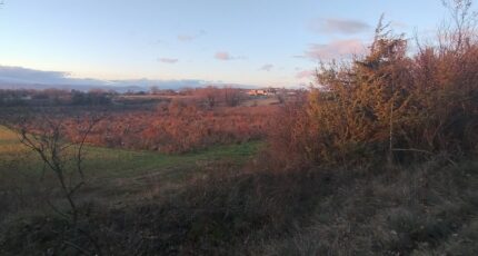 Barjac Terrain à bâtir - 2437409-5100annonce320260223DSryS.jpeg Maisons France Confort