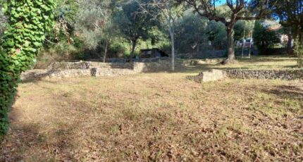 Grasse Terrain à bâtir - 2438316-1837annonce120260223a1sTT.jpeg Maisons France Confort