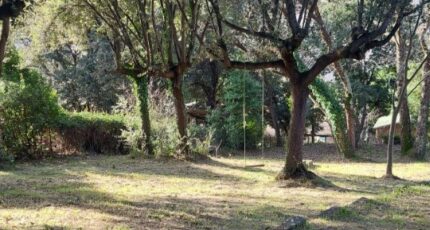 Grasse Terrain à bâtir - 2438316-1837annonce220260223TnZOK.jpeg Maisons France Confort