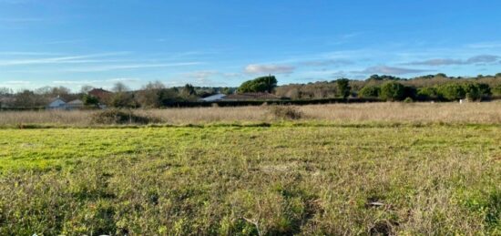 Terrain à bâtir à Saint-Palais-sur-Mer, Nouvelle-Aquitaine