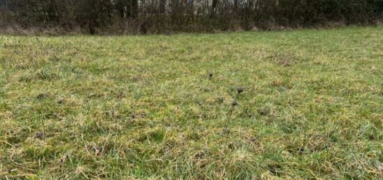 Terrain à bâtir à Saint-Cosme-en-Vairais, Pays de la Loire