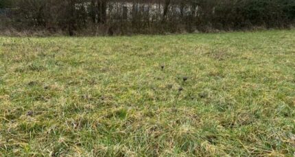 Saint-Cosme-en-Vairais Maison neuve - 2400230-3704annonce120260121i0lxQ.jpeg Maisons France Confort