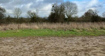 Cerisé Maison neuve - 2416379-3704annonce120260122ui7Z7.jpeg Maisons France Confort