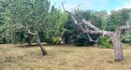 Montpon-Ménestérol Terrain à bâtir - 2438518-5020annonce120260223cMzaa.jpeg Maisons France Confort