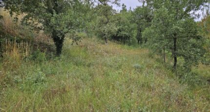 Saint-Paul-en-Forêt Terrain à bâtir - 2438798-5163annonce320260223bhrtS.jpeg Maisons France Confort